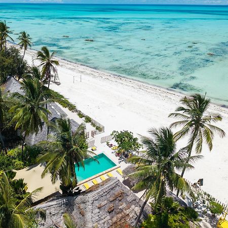 Pili Pili Palm Beach Jambiani  Exteriör bild