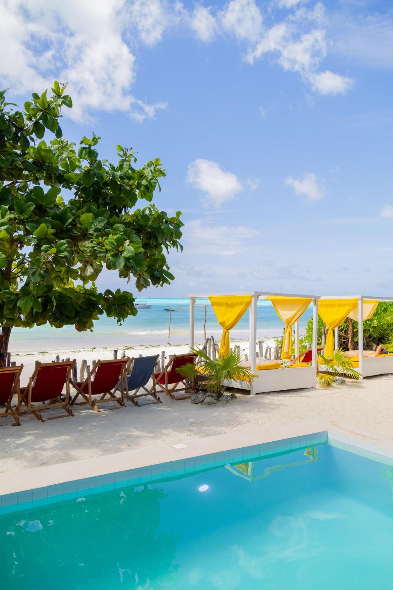 Pili Pili Palm Beach Jambiani  Exteriör bild