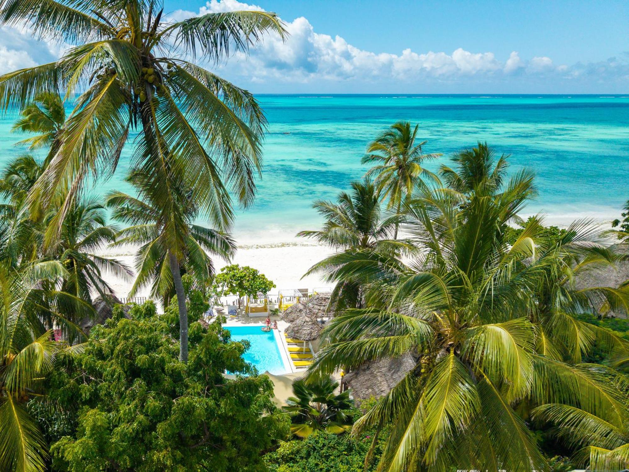 Pili Pili Palm Beach Jambiani  Exteriör bild